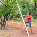 Top 10 Best Trimming Trees Ladder 2020 – Expert Review & Guide